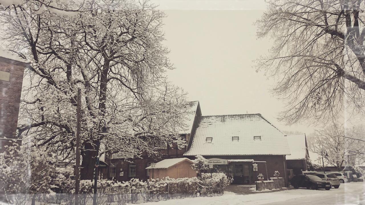 Zum Landhaus Dannenbüttel Sassenburg Exterior foto